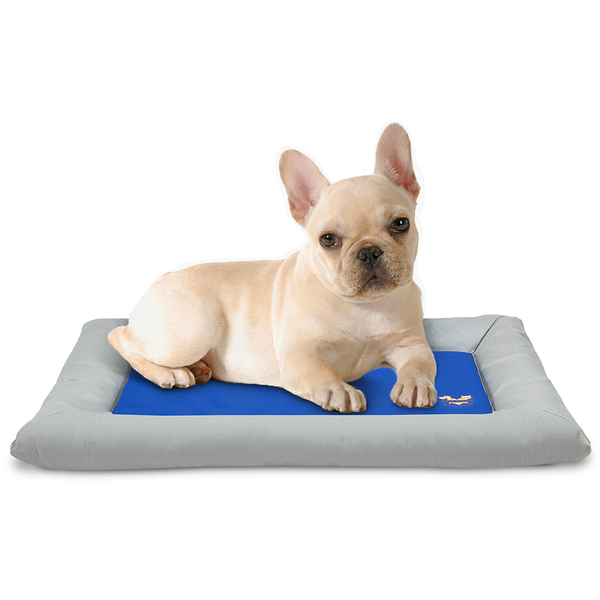 Arf Pets Dog Self Cooling Bed Pet Bed – Foam Based Bolster Bed for Extra Comfort, 20" x 30" APCLBS